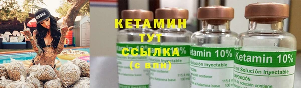 дмт Гусев