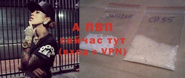 дмт Гусев