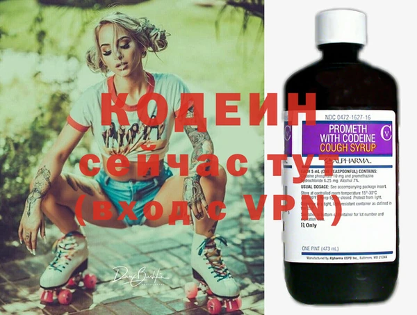 дмт Гусев