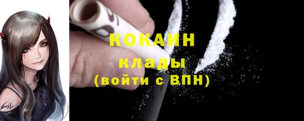 дмт Гусев