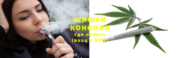 дмт Гусев
