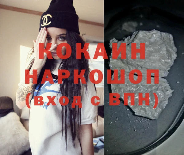 дмт Гусев