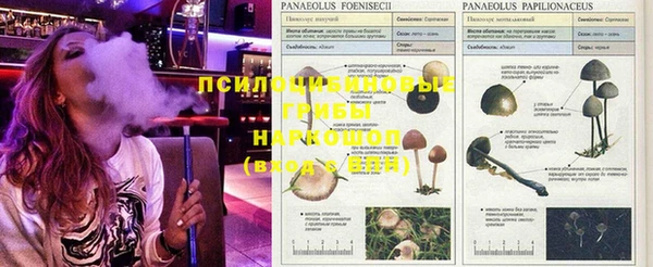 не бодяженный Гусиноозёрск