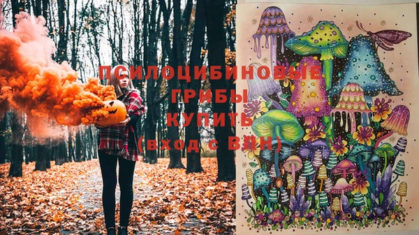 не бодяженный Гусиноозёрск