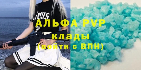 дмт Гусев