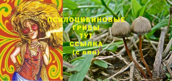 дмт Гусев