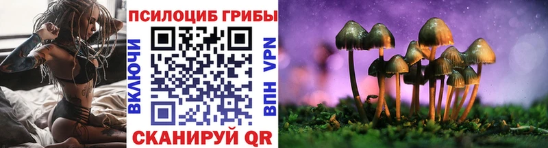 Купить  Ак-Довурак  Псилоцибиновые грибы прущие грибы 
