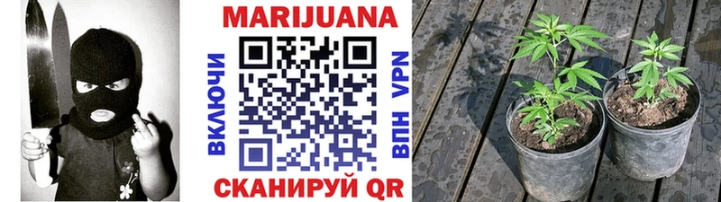 Бошки марихуана марихуана  Купить закладки  Ак-Довурак 
